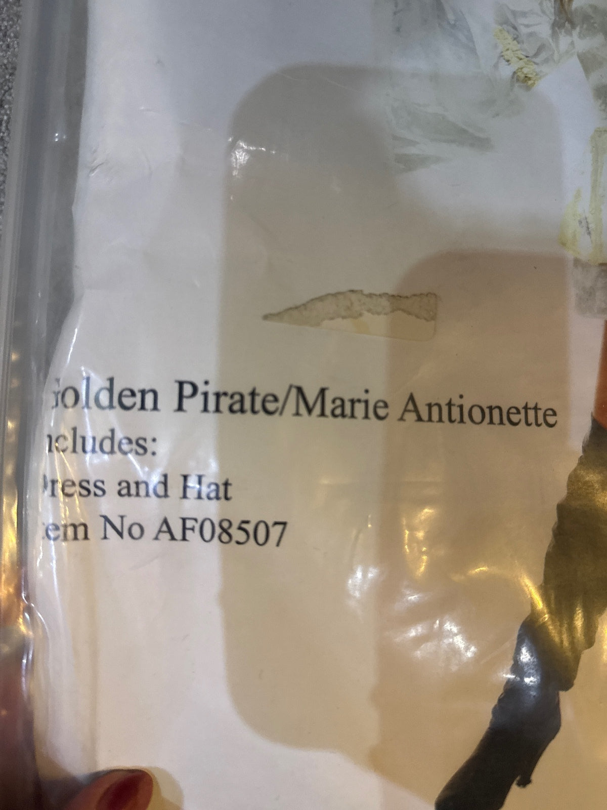 Golden Pirate Marie Antionette Costume Dress and Hat Size 8-10